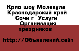 Крио шоу Молекула - Краснодарский край, Сочи г. Услуги » Организация праздников   